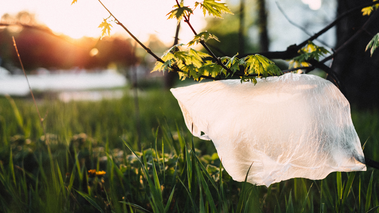 The Effects Different Types of Oil Can Have on Plastic