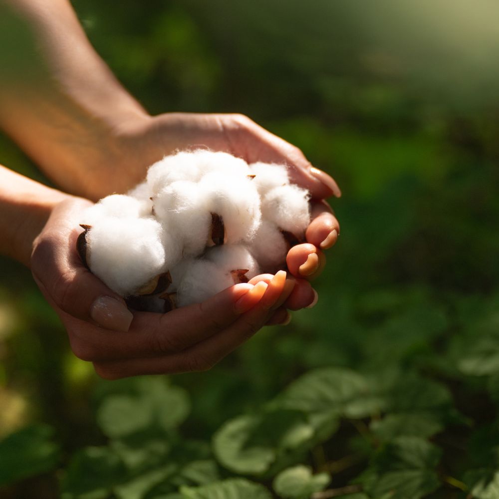 W&ouml;chnerinneneinlagen (Neu), , thumbnail, Eco by Naty